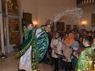 Верное воскресение (2015 г.)